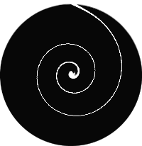 growing spiral on a black void